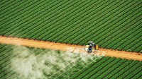 CNH Industrial: Outlook Dims Further (Rating Downgrade) (NYSE:CNH)