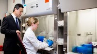 Evaluating the safety and efficacy of mesenchymal stem cells in the treatment of low back pain