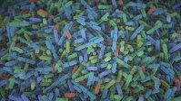 How Doxycycline for STI Prevention Affects the Gut Microbiome