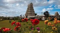 'Sanctity paramount': TTD prohibits political and hate speeches at Tirumala