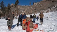 Alpine Enigmas: UM Researchers Study Bighorn Sheep, Mountain Goats