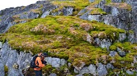 Greening of Antarctica Is Another Sign of Significant Climate Shift on the Frozen Continent