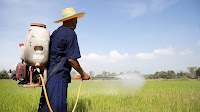 Chlorpyrifos, Mercury Recommended for Listing Under Rotterdam Convention