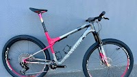 S-Works Epic World Cup LTD Demo