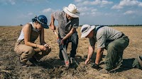 Regenerative agriculture’s biggest developments in 2024 — and what they mean for 2025