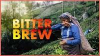 Sri Lanka: The uncomfortable truth behind your cup of tea
