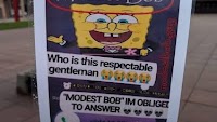 The curious, compelling, and somewhat addictive case of Modest Bob