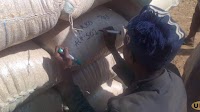 Good News, Maize Prices Begin to Stabilize