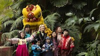 2025 is the Year of the Snake – How to celebrate Chinese Lunar New Year in Dublin