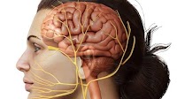 Scientists propose cause of symptoms, treatment for long COVID-19