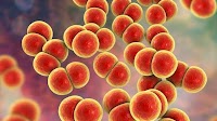 Sexually transmitted infections continue to rise in Europe