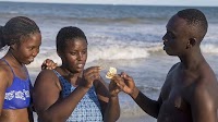 Sexually transmitted infections (STIs)