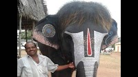 Photos: This Tamil Nadu elephant makes a style statement with ‘bob-cut’
