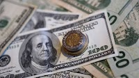 Euro gains after German debt reform; US dollar falls