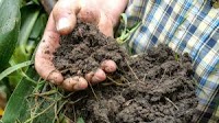 Censoring ‘climate’ in ag research will backfire, warns The Breakthrough Institute