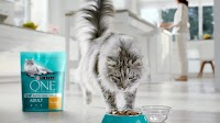 Purina PetCare leads Nestlé’s growth in 2023