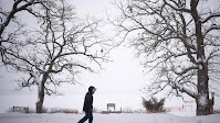 NOAA winter outlook suggests likelihood of snowier, colder winter in Minnesota