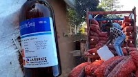 Illegal cough syrup worth Rs 5 Crore seized at Assam-Tripura border