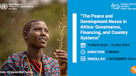 New UN course for policymakers to inspire solutions from Africa for Africa