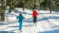 Hitting the slopes: More Czechs plan mountain visits this winter - Prague, Czech Republic