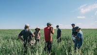 EXCLUSIVE: Mad Capital closes $4m round, aims to shift 10m acres to regenerative ag by 2032
