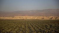 KKL-JNF approves $29m, five-year plan for Jordan Valley
