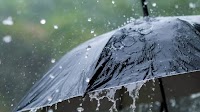 Bad News for Earth: Rainwater Is No Longer Safe to Drink Thanks to Plastic
