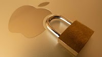CVE funding cuts reversed after security concerns raised