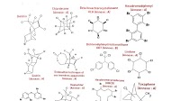Grouping of Chemicals Facilitates Better Risk Management: European Chemicals Agency