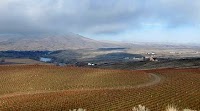 Red Mountain: The Unsung Hero of Washington Cabernet