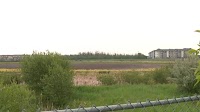 Where did the water go? Poplar Lake dries up in north Edmonton