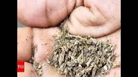 MP: Three nabbed with 12 kg ganja on Berasia road