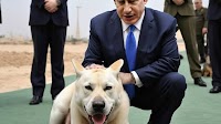 Muzzling the mad dog: Bibi is barking up the wrong tree