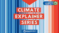 What You Need to Know About the Measurement, Reporting, and Verification (MRV) of Carbon Credits