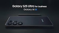 Samsung introduced Galaxy S25 Enterprise Edition. How is it different from the standard one?