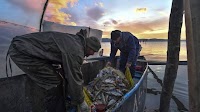 Greek Action to Protect Shared Lake Leaves North Macedonia Unmoved