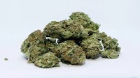 3 Jharkhand Women Arrested At Kerala Train Station With 24 Kgs Of Cannabis: Cops