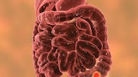 Metastatic Colorectal Cancer: PROs With Sotorasib and Panitumumab vs Standard of Care