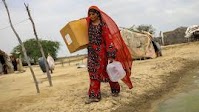 Gender equality: UN Women calls for political will and accelerated global action
