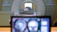 Police are investigating a man's death after he was pulled into MRI machine