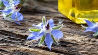 Herbs for joint pain: 9 best types for arthritis