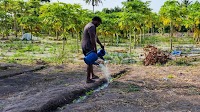 China gifts agricultural equipment to Maldives