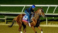 Tampa Bay Downs Trainer VanWinkle Hits Breeders’ Cup Sprint With Florida-bred Mad House