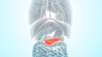 Novel Vaccine Shows Early Responses in Pancreatic Cancer and CRC