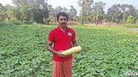 From Kerala fields to Dubai markets: The success story of a vegetable farmer | Lifestyle News | English Manorama