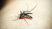 GHS and health partners call for heightened public awareness on Dengue Fever
