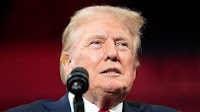 Trump's nephew endorses Kamala Harris: 'Donald is atomic crazy'