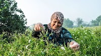 Shubra Beloula: The tiny Egyptian village few know