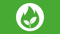 Pirot procuring biomass equipment, heating services