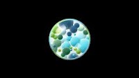 Understanding the SCR Risk Components
